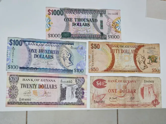 Cédulas dólares Guiana combo completo 5 unidades dinheiro