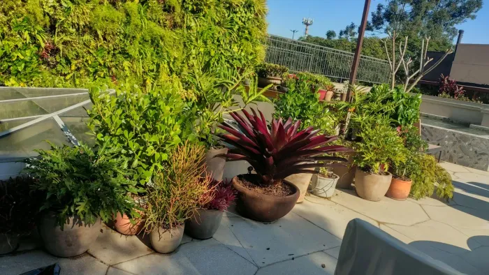 Vaga para ajudante de jardineiro