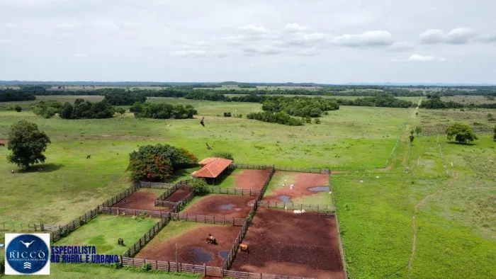 Fazenda à Venda em Crixás  GO | 450 Alqueires | Pecuária Formada