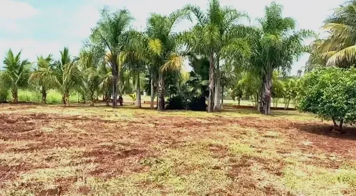 Chácara Condomínio Marinas do Paranapanema - Santa Inês - Pr.