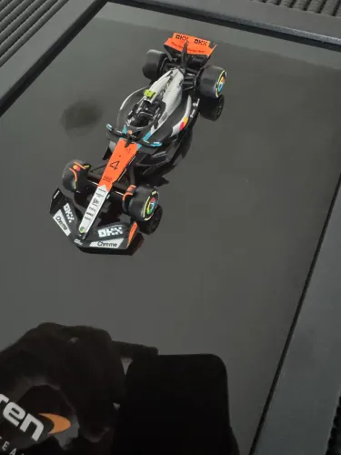 Quadro F1 com miniatura licenciada