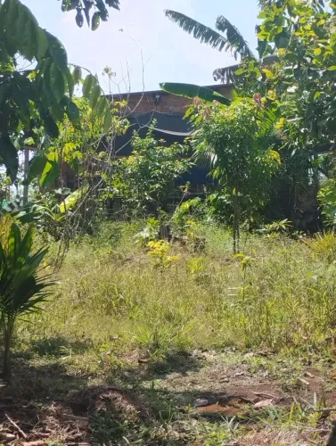 Venda de terreno