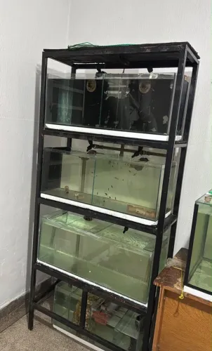 Vendo bateria de aquário