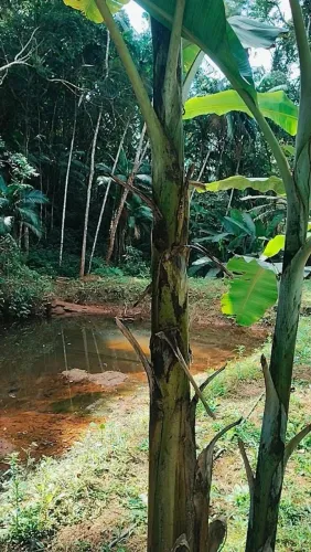 Terreno com area para plantio e agua ,escriturado e registrado