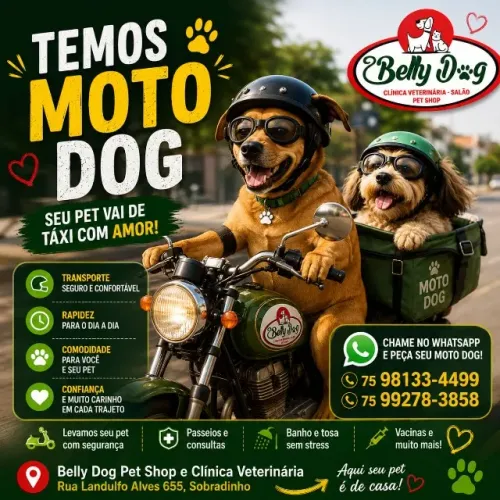 Banho tosa corte de unha para o seu pet