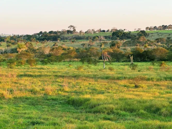 Propriedade rural em Brejão-PE