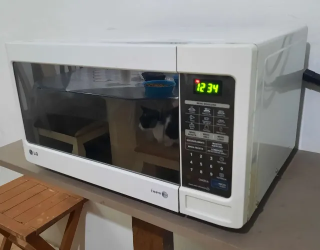 Microondas LG ((ENTREGO))