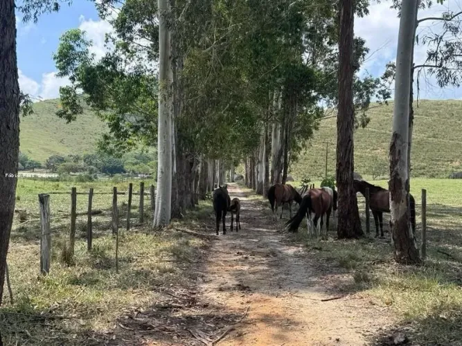 Fazenda para Venda em Rio Bonito, Área Rural, 6 dormitórios, 2 suítes, 4 banheiros
