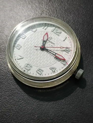 Relógio Champion Watch / tipo quartzo