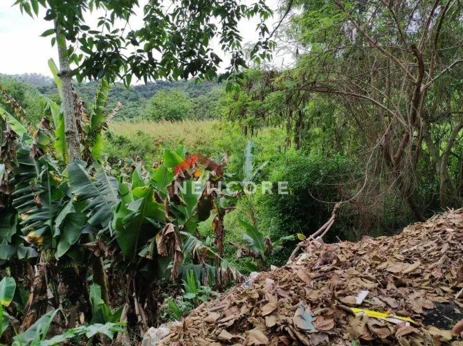 Lote em Avenida Marechal Bernard Montgomery - Alvarenga - São Bernardo do Campo/SP