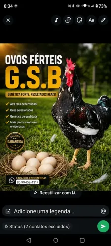Ovos férteis Gsb