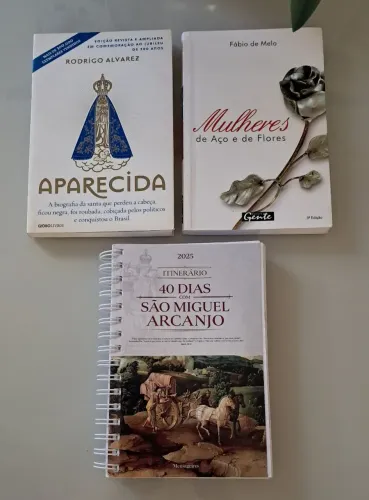 Livros diversos títulos