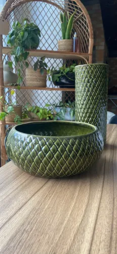 Conjunto de vaso para plantas verde