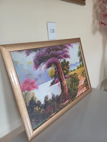 Quadro Decorativo Com Moldura 
