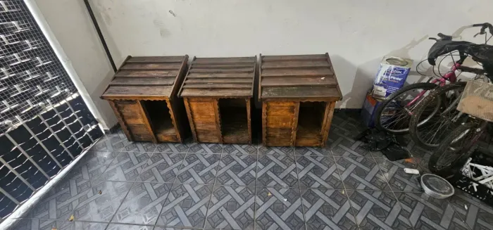 3 cazinhas pet por 100