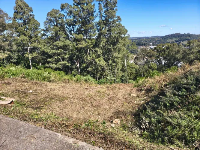 Serviço de roçadeira / limpeza de terreno