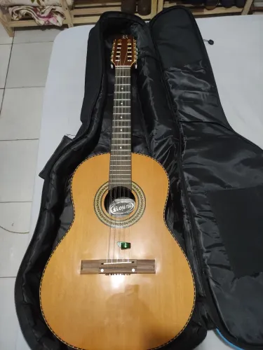 Viola caipira rozzini
