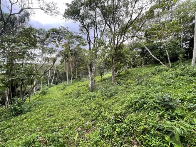 Terreno 7.652 m² com vista no Morro do Ribeirão, Garopaba, SC