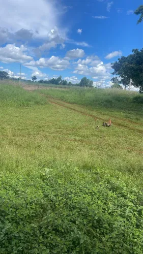 Vendo chácara 1 alqueire Fazenda ponte nova. 580 mil 