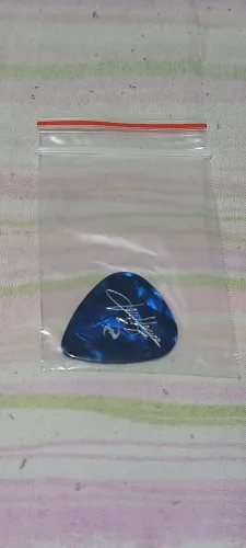 Palheta Ex Evanescence Jen Majura