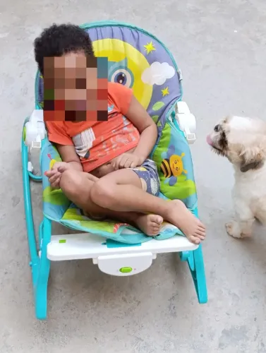 Cadeirinha de balanço