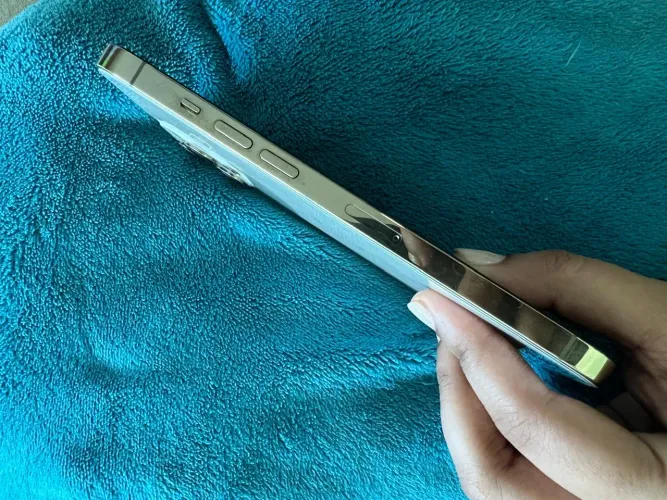 iPhone 12 Pro Max 
