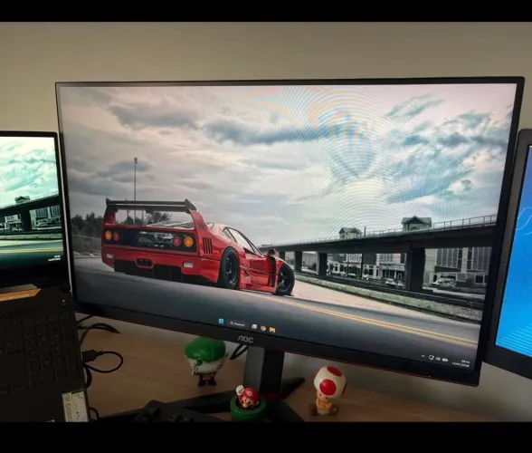 Monitor