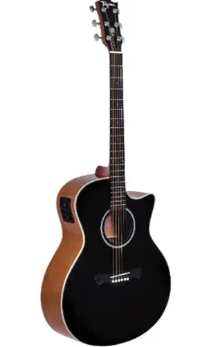 Violão Tagima TW29