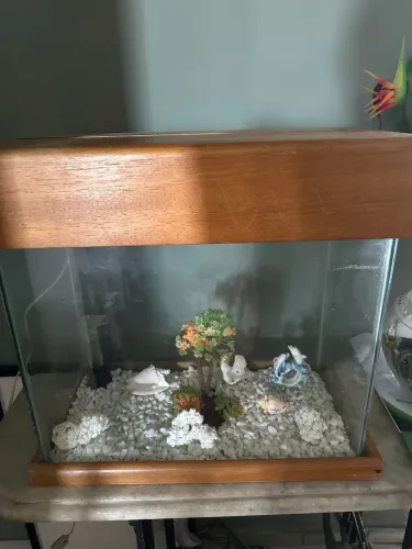 Vendo aquário.