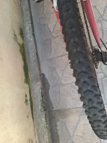 Bicicleta Poty.