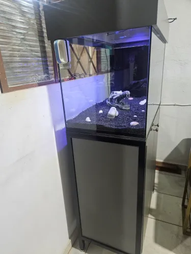 Aquário