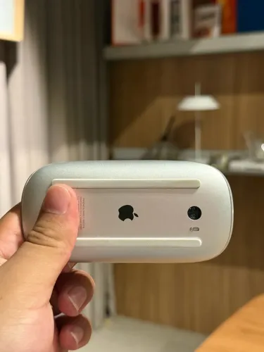 Magic Mouse 2