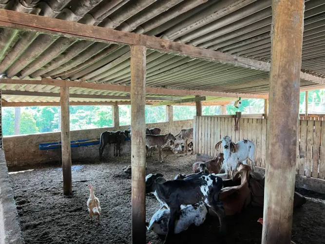 Vendo Fazenda no municipio de Perdizes/MG