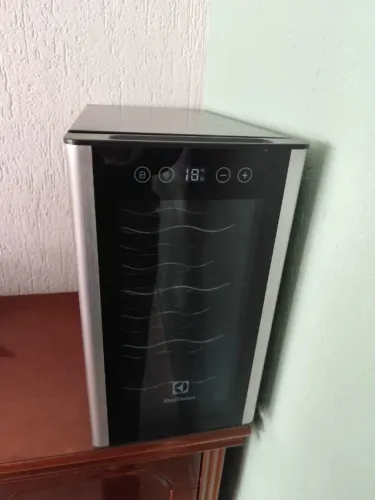 Adega de vinho climatizada Electrolux 12 garrafas Uma Porta 220v