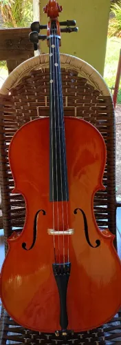 Violoncelo 3/4