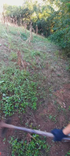 Limpezas de chácaras/terrenos