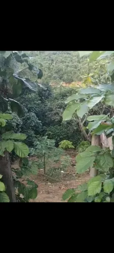 Vendendo terreno em cajazeiras Jaguaripe