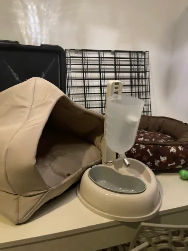 Kit completo para seu amiguinho