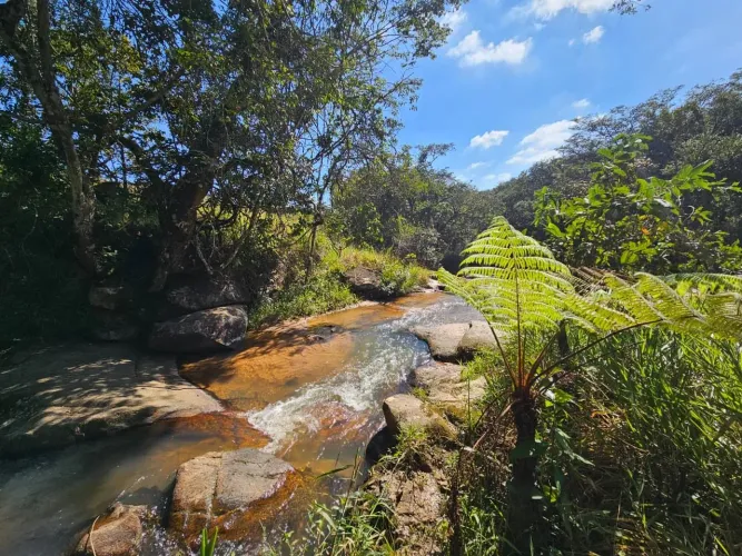 Terreno à venda, 929 m² por R$ 110.000 - Cachaça Pendao - Itatiaiuçu/MG