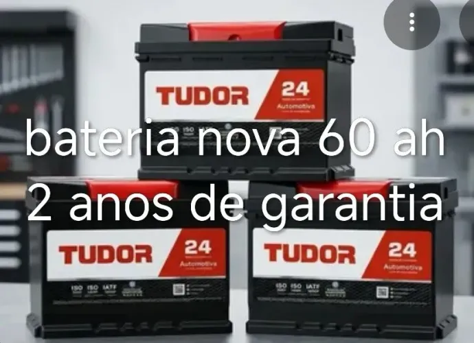 Tudor 60 ah