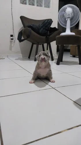 Pit monster