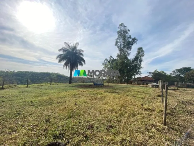 FAZENDA À VENDA - 82 HECTARES - BAMBUÍ (MG)