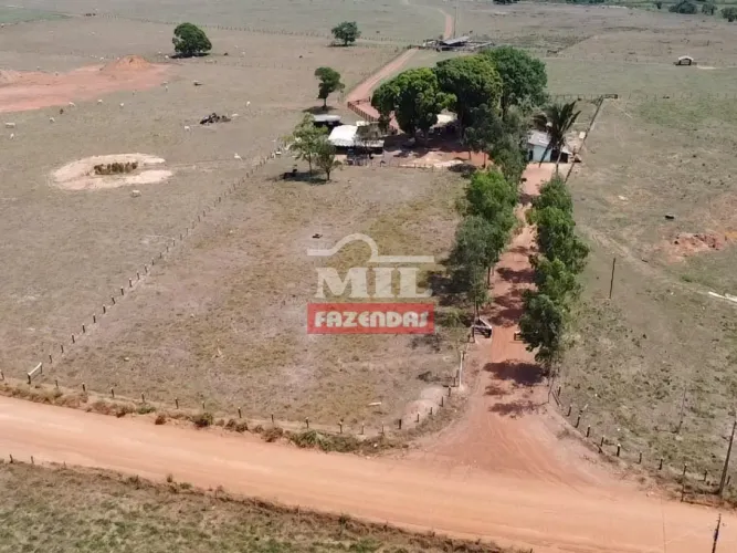 Fazenda em Colíder-MT. (214 Hectares)