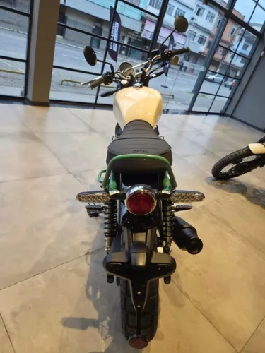 BEAR 650cc TWO FOUR NINE (CONSULTORA ESTER - *)