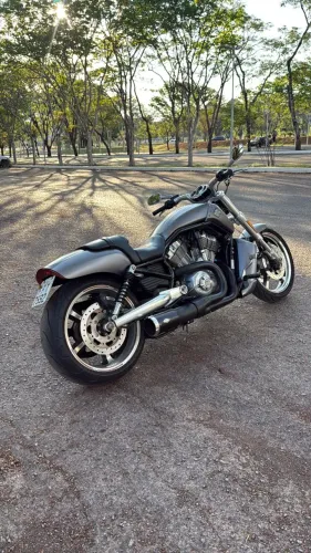 HARLEY-DAVIDSON V-ROD MUSCLE 1250cc 2014/2014