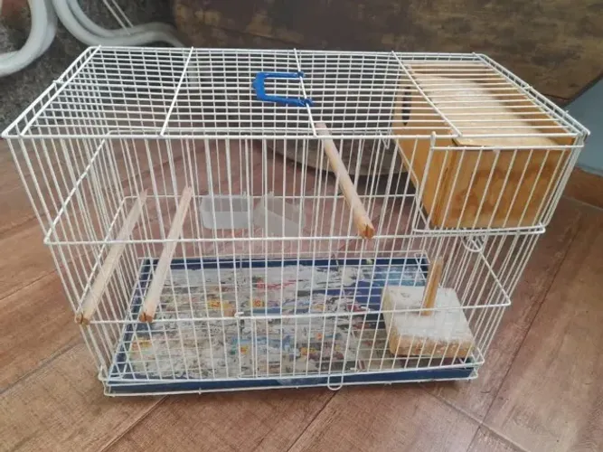 gaiola para calipsita