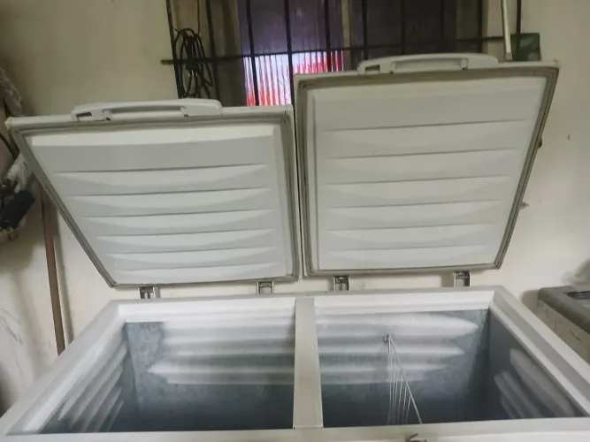 FREEZER HORIZONTAL