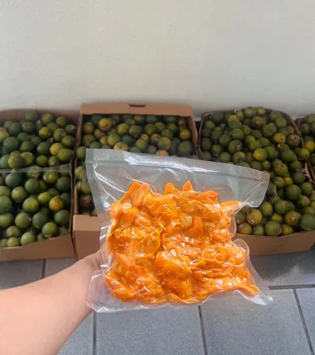 Tucumã Nativo