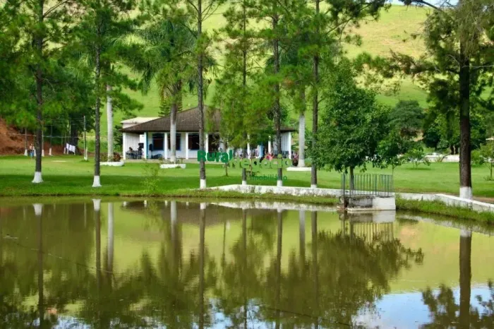 FAZENDA DE FÁCIL ACESSO E SEDE LUXUOSA EM AREIAS-SP