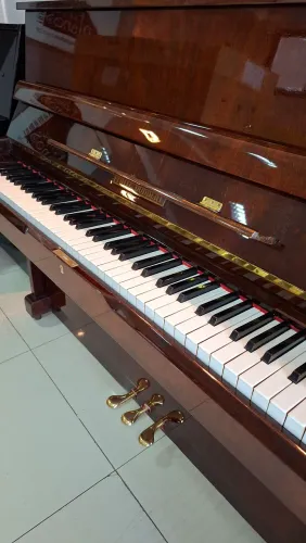 Piano Fritz Dobbert Acústico